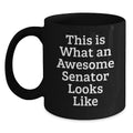 Senator Keepsake Ceramic Black Coffee Mug for Him Birthday Gift Premium - Main