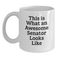 Senator Keepsake White Coffee Mug Birthday Gift for Him - Main