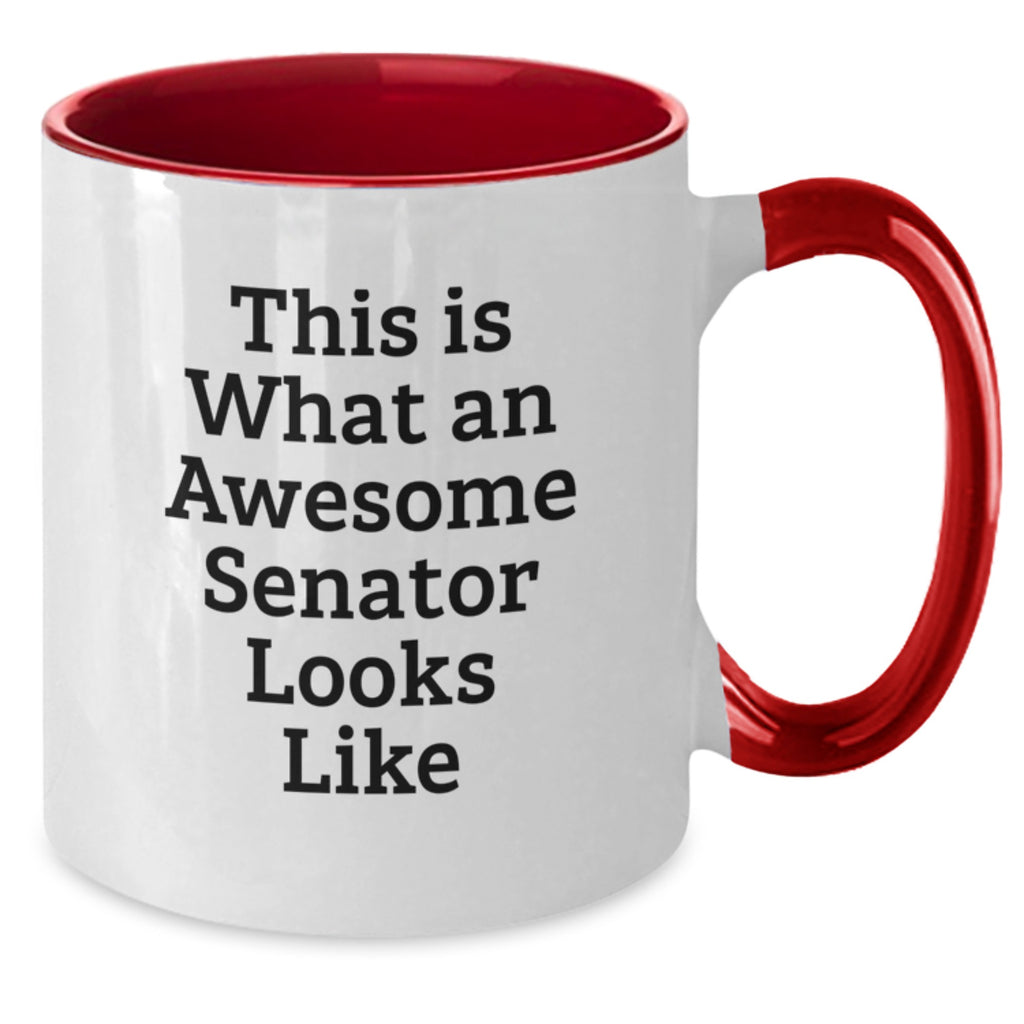Senator Keepsake Mug for Him – Birthday Gift – 11oz Two Tone Coffee Mug - Additional