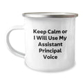 Birthday Gift for Her Assistant Principal Camping Mug Present - Image 1