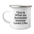 Senator Premium Keepsake Camping Mug Durable for Him Birthday Gift - Image 1