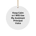 Christmas Gift for Her Assistant Principal Ornament Present Bright - Image 1
