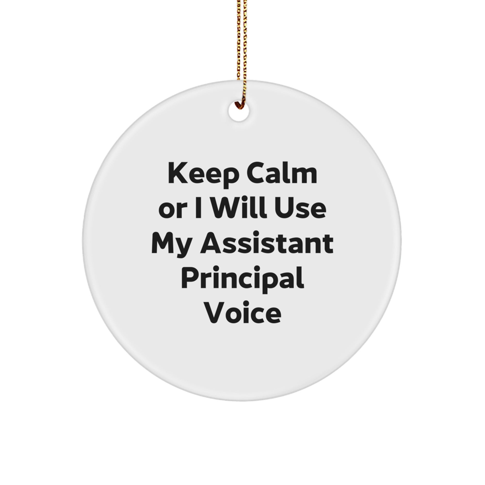 Christmas Gift for Her Assistant Principal Ornament Present Bright - Image 1