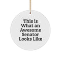 Christmas Gift Senator Circle Ornament for Her Present Bright - Image 1