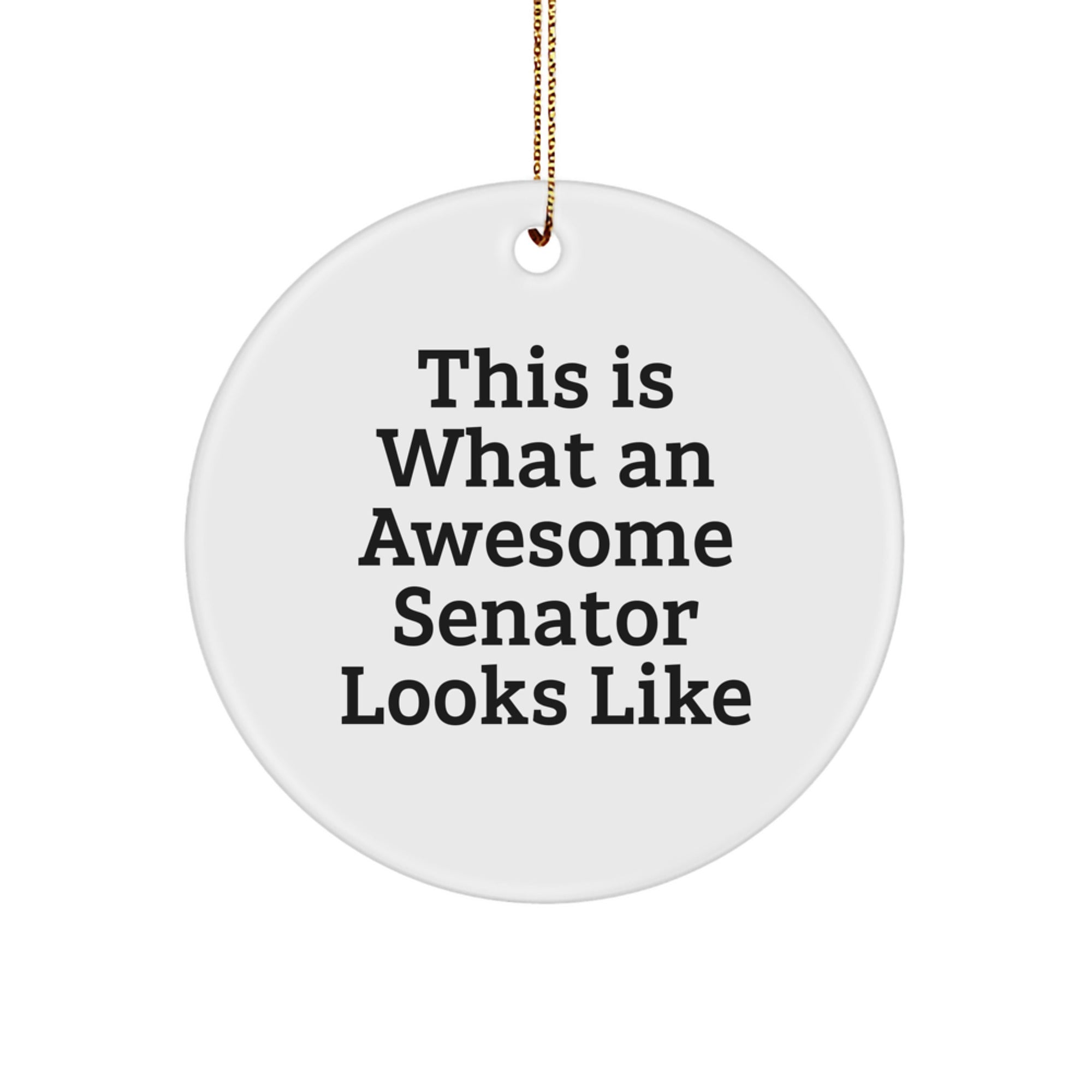 Christmas Gift Senator Circle Ornament for Her Present Bright - Image 1