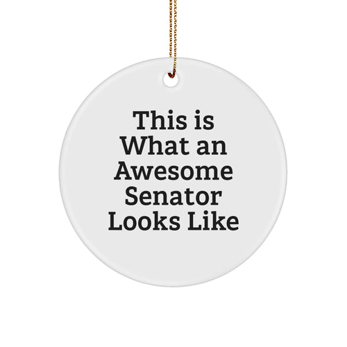 Christmas Gift Senator Circle Ornament for Her Present Bright - Image 1