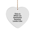 Christmas Gift Senator Heart Ornament for Her Present With Pride - Image 1