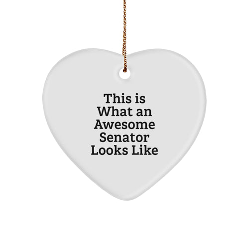 Christmas Gift Senator Heart Ornament for Her Present With Pride - Image 1