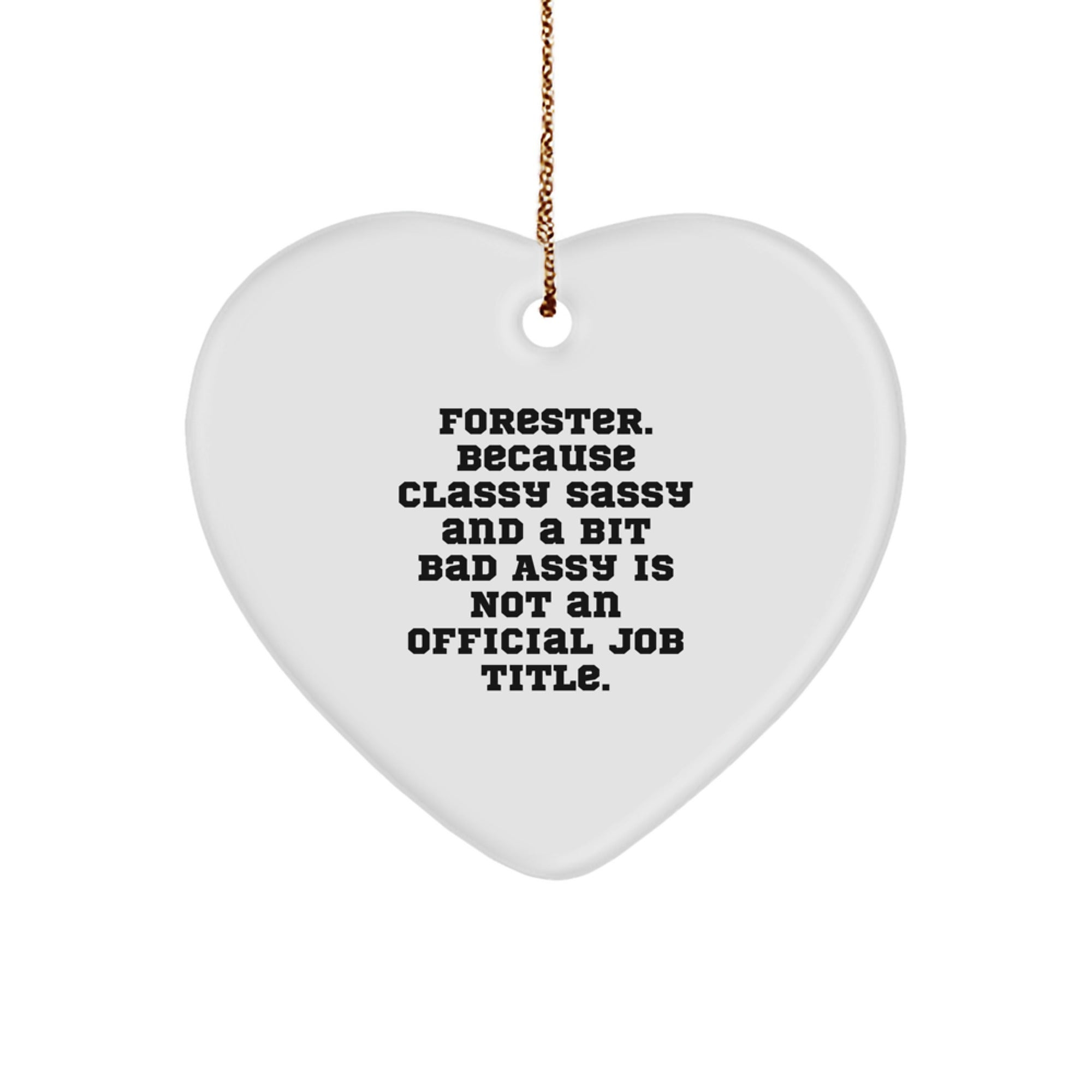 Forester Heart Ornament Gifts from Friends and Family, Christmas Unique Presents for Men Who Love to Hunt, Funny Quote - Image 1