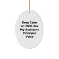 Christmas Gift for Her Assistant Principal Present Ornament - Image 1