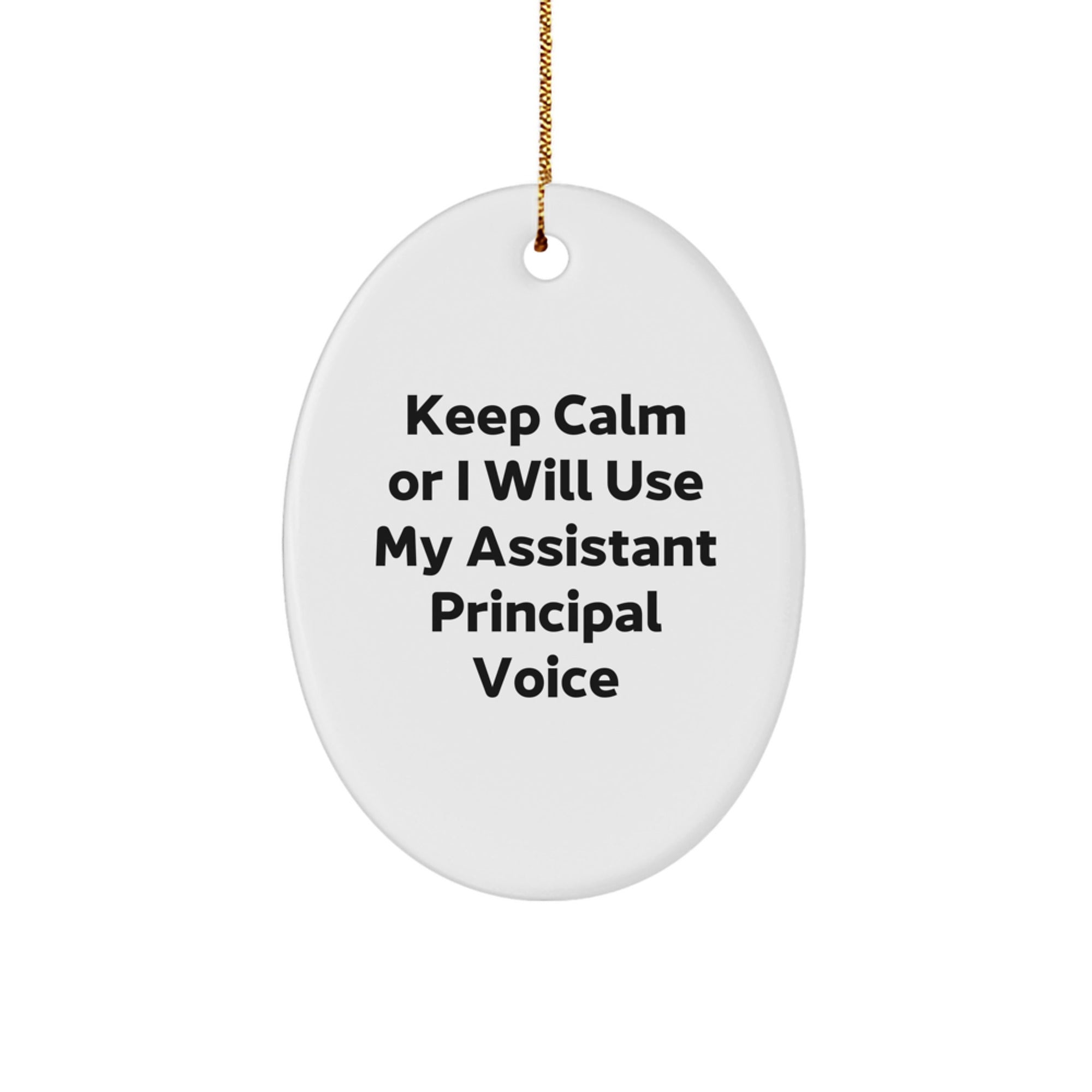 Christmas Gift for Her Assistant Principal Present Ornament - Image 1