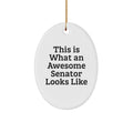 Christmas Gift Oval Ornament for Her Present – Senator Quote - Image 1