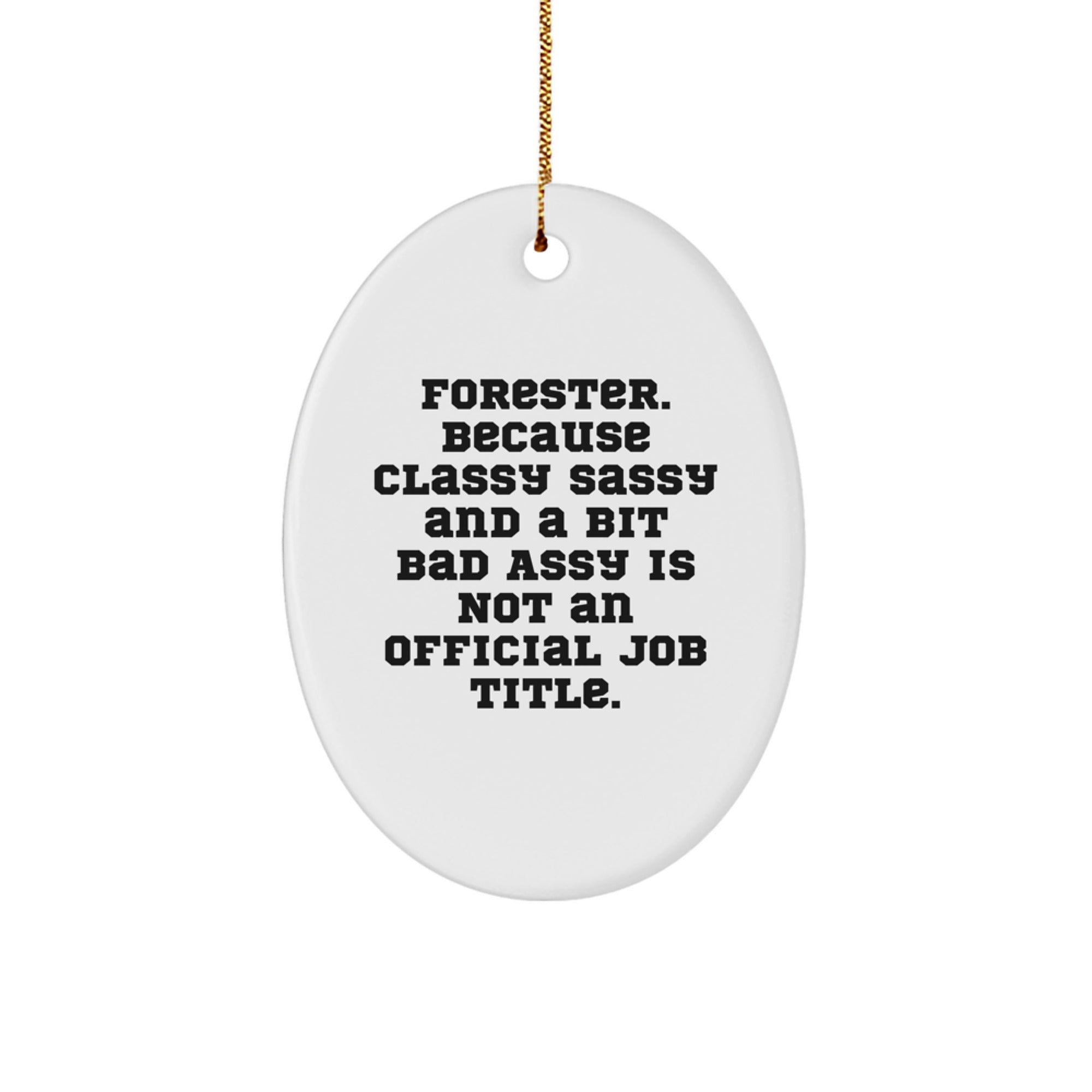 Funny Forester Gifts for Men, Oval Ornament Quote - Classy Sassy And A Bit Fearlessy Christmas Unique Gifts from Friends - Image 1