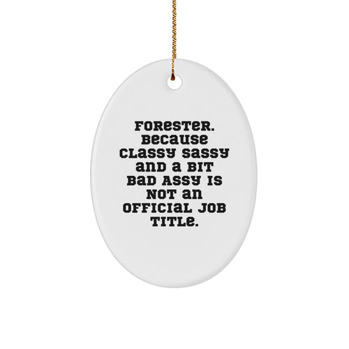 Funny Forester Gifts for Men, Oval Ornament Quote - Classy Sassy And A Bit Fearlessy Christmas Unique Gifts from Friends - Image 1