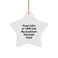 Christmas Gift Assistant Principal Star Ornament for Her Present - Image 1