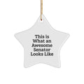 Senator Star Ornament Awesome for Her Present Christmas Gift - Image 1