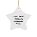 Payroll Clerk Star Ornament for a Best Friend Companion Christmas Gift - Image 1