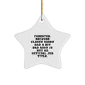 Forester Star Ornament Funny Quote Gifts for Forester Men Funny Christmas Decorations from Friends - Image 1