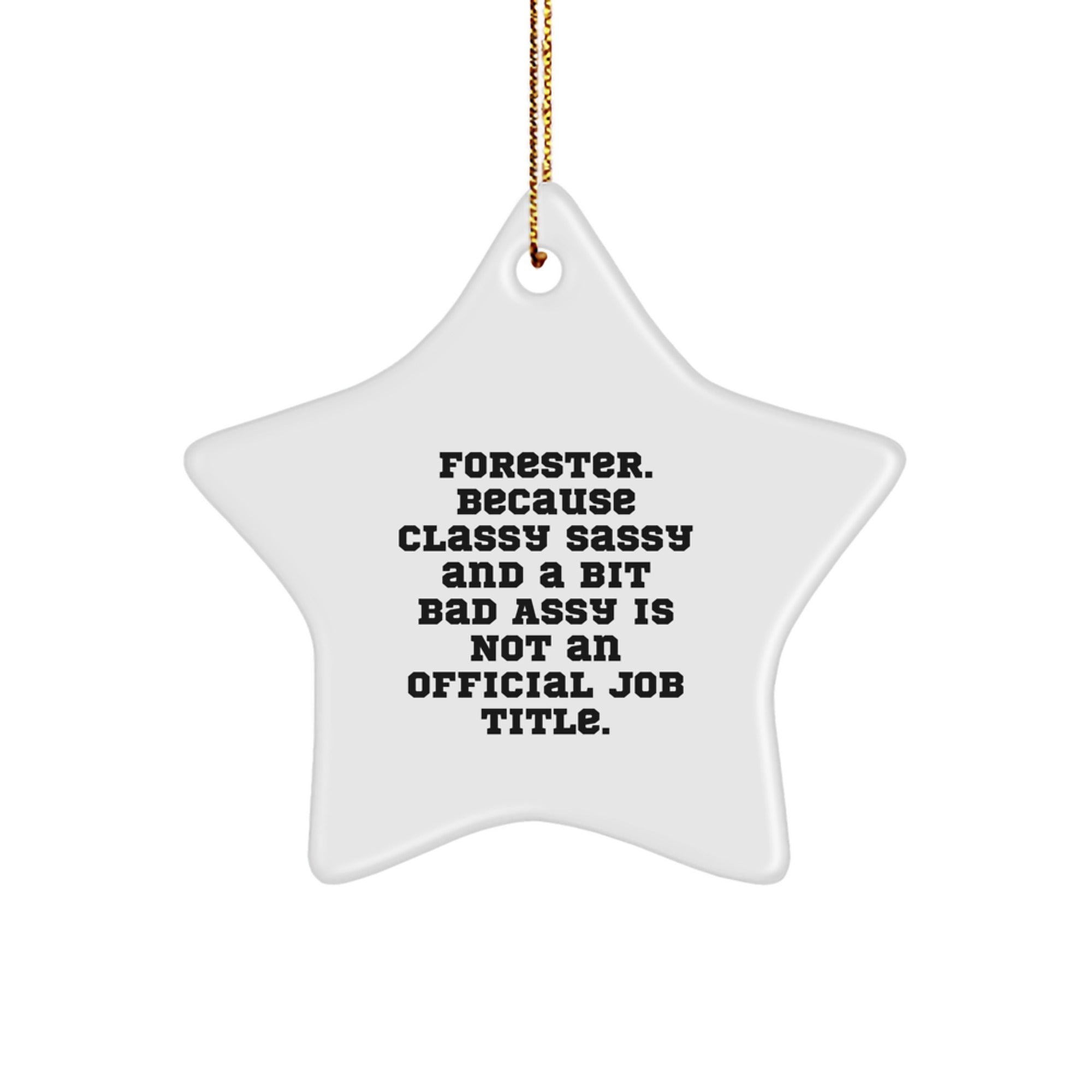 Forester Star Ornament Funny Quote Gifts for Forester Men Funny Christmas Decorations from Friends - Image 1